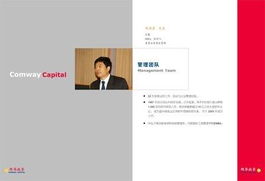 魔方企業(yè)形象設計 從視覺識別到市場營銷的整合之道